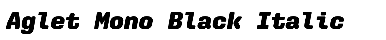 Aglet Mono Black Italic